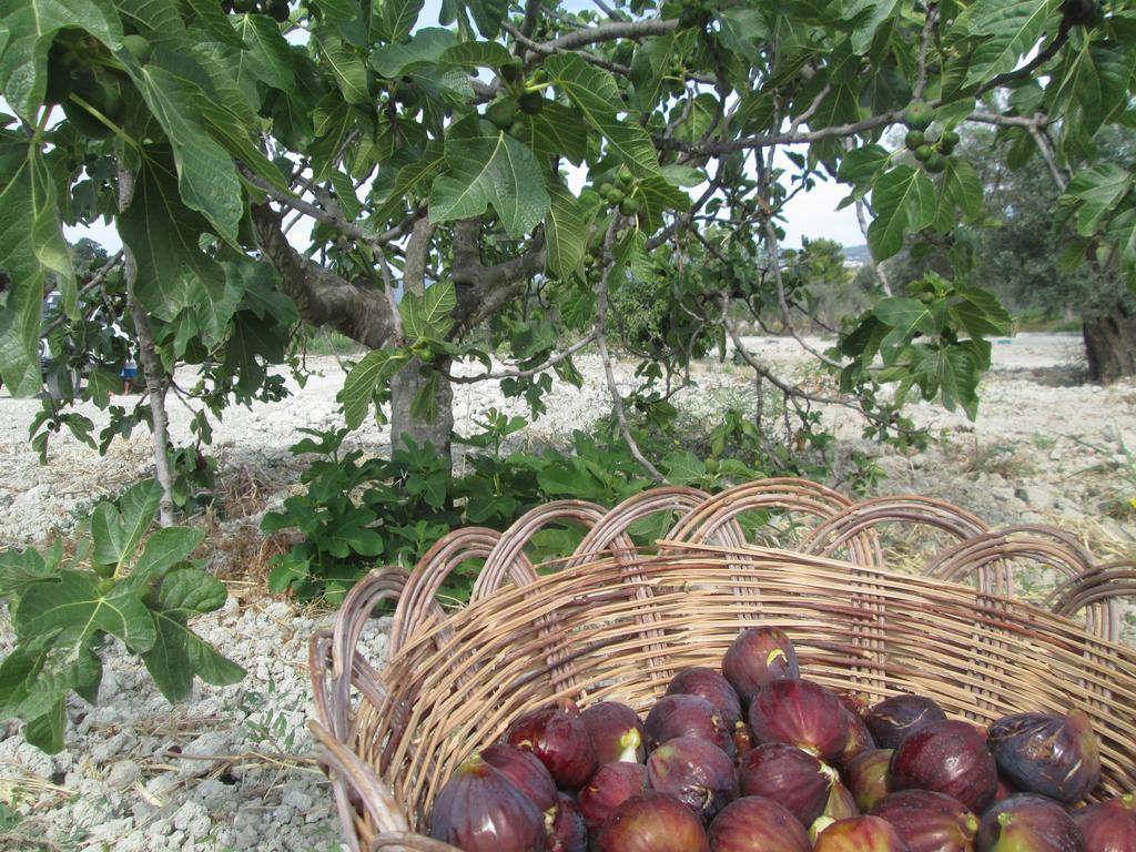 Agriturismo Donna Beatrice Bianco Zewnętrze zdjęcie