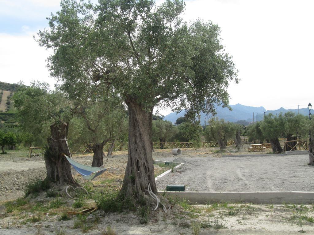 Agriturismo Donna Beatrice Bianco Zewnętrze zdjęcie